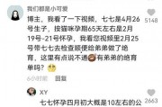 娱乐吃瓜君和七七铲屎官,揭秘娱乐圈与宠物界的趣味故事